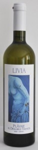 livia plavaie 77x300 Plăvaie Livia 2010