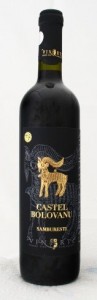 Castel Bolovanu Samburesti Vinarte 97x300 Cabernet Sauvignon Castel Bolovanu 2008